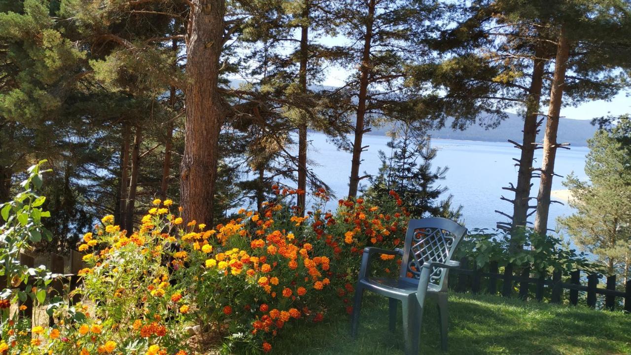 Къща За Гости Сиана Dospat Bagian luar foto